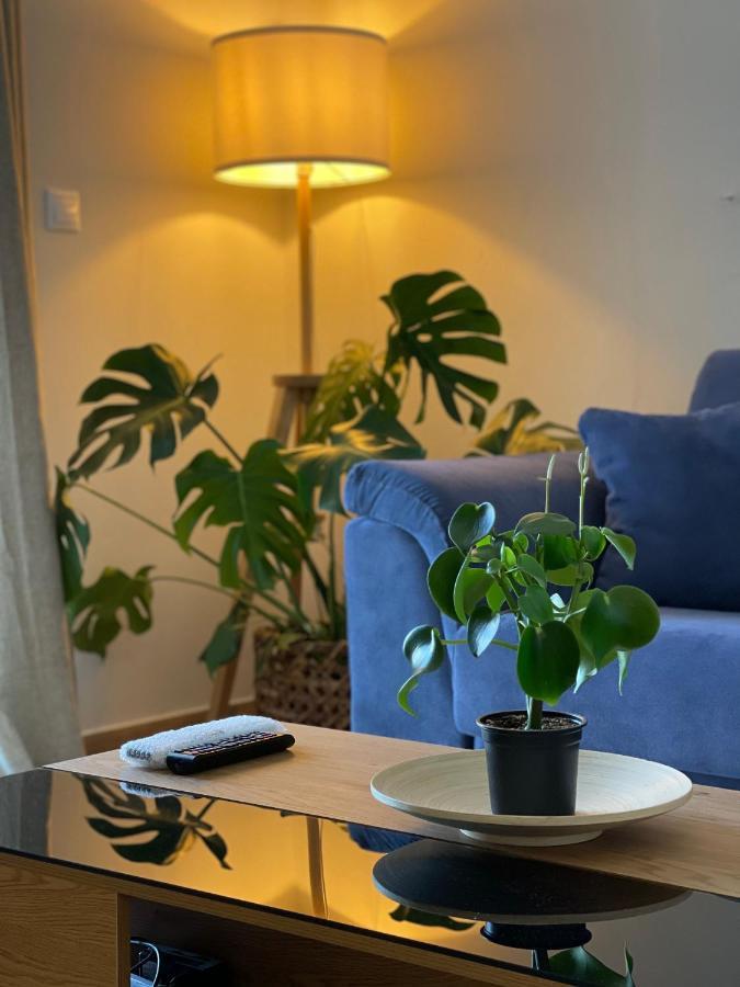Cosy Apartment With Sea View Close To The Beach Nikiana Esterno foto